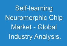Self-learning Neuromorphic Chip Market – Global Industry Analysis, Size, Share, Growth, Trends, And Forecast