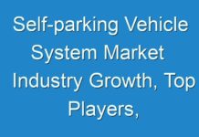 Self-parking Vehicle System Market Industry Growth, Top Players, Segmentation and Forecast to 2031