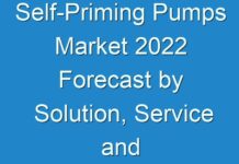 Self-Priming Pumps Market 2024 Forecast by Solution, Service and Application