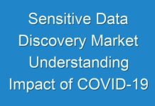 Sensitive Data Discovery Market Understanding Impact of COVID-19 Estimated To Be Experience 2031