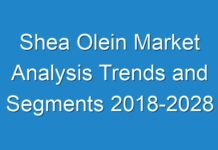 Shea Olein Market Analysis Trends and Segments 2018-2028