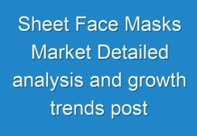 Sheet Face Masks Market Detailed analysis and growth trends post COVID-19 outbreak 2027