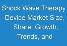 Shock Wave Therapy Device Market Size, Share, Growth, Trends, and Forecast 2017-2025