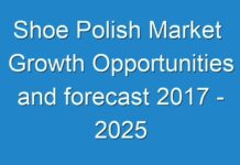 Shoe Polish Market Growth Opportunities and forecast 2017 – 2025