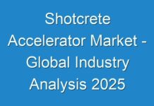 Shotcrete Accelerator Market – Global Industry Analysis 2025
