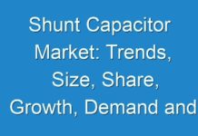Shunt Capacitor Market: Trends, Size, Share, Growth, Demand and Regional Outlook by 2030