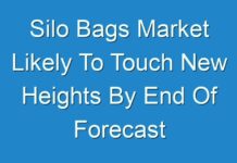 Silo Bags Market Likely To Touch New Heights By End Of Forecast Period 2030