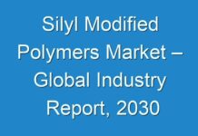 Silyl Modified Polymers Market – Global Industry Report, 2030