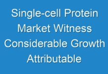 Single-cell Protein Market Witness Considerable Growth Attributable To Growing Demand For Food Supplements Over 2028