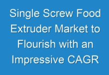 Single Screw Food Extruder Market to Flourish with an Impressive CAGR During 2024-2030