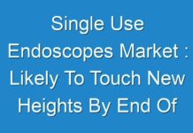 Single Use Endoscopes Market : Likely To Touch New Heights By End Of Forecast Period 2019 – 2027