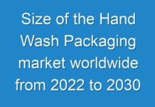 Size of the Hand Wash Packaging market worldwide from 2024 to 2030