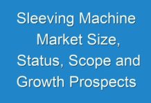 Sleeving Machine Market Size, Status, Scope and Growth Prospects 2024-2031