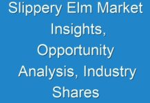Slippery Elm Market Insights, Opportunity Analysis, Industry Shares And Forecast 2018-2028