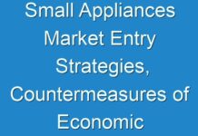 Small Appliances Market Entry Strategies, Countermeasures of Economic Impact and Marketing Channels to 2024