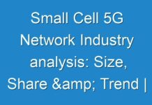 Small Cell 5G Network Industry analysis: Size, Share & Trend | Industry Analysis Report 2024-2030