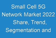 Small Cell 5G Network Market 2024 Share, Trend, Segmentation and Forecast To 2030
