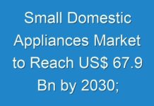 Small Domestic Appliances Market to Reach US$ 67.9 Bn by 2030; COVID-19 Pandemic Set to Drop Sales