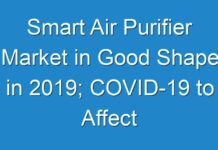 Smart Air Purifier Market in Good Shape in 2019; COVID-19 to Affect Future Growth Trajectory