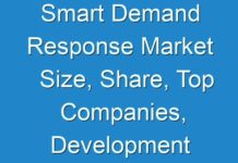 Smart Demand Response Market Size, Share, Top Companies, Development 2025