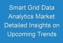 Smart Grid Data Analytics Market Detailed Insights on Upcoming Trends 2024 – 2030