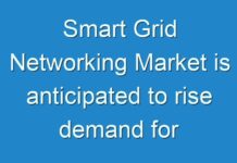 Smart Grid Networking Market is anticipated to rise demand for interoperability and standardization