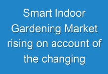 Smart Indoor Gardening Market rising on account of the changing trends in the field of interior designing