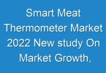 Smart Meat Thermometer Market 2024 New study On Market Growth, Technology and Top key Players