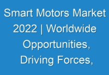 Smart Motors Market 2024 | Worldwide Opportunities, Driving Forces, Future Potential 2030