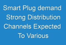 Smart Plug demand Strong Distribution Channels Expected To Various End Users In The Global Market 2031