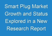 Smart Plug Market Growth and Status Explored in a New Research Report (2024 – 2030)