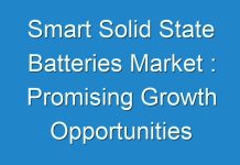 Smart Solid State Batteries Market : Promising Growth Opportunities and Forecast 2030