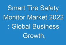 Smart Tire Safety Monitor Market 2024 : Global Business Growth, Demand, Trends, Key Players And Forecasts Till 2030