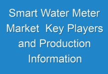 Smart Water Meter Market Key Players and Production Information analysis with Forecast 2018 – 2026