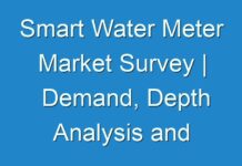 Smart Water Meter Market Survey | Demand, Depth Analysis and Estimated Forecast 2024-2027