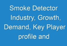 Smoke Detector Industry, Growth, Demand, Key Player profile and Regional Outlook by 2030