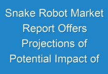 Snake Robot Market Report Offers Projections of Potential Impact of Corona Virus Outbreak,2021-2027