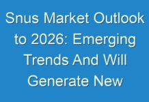 Snus Market Outlook to 2026: Emerging Trends And Will Generate New Growth Opportunities Status