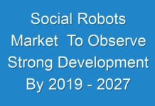 Social Robots Market To Observe Strong Development By 2019 – 2027