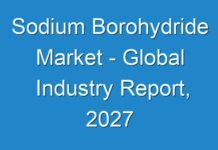 Sodium Borohydride Market – Global Industry Report, 2027
