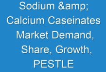 Sodium & Calcium Caseinates Market Demand, Share, Growth, PESTLE Analysis, Global Industry Overview, 2024-2027