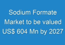 Sodium Formate Market to be valued US$ 604 Mn by 2027