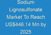 Sodium Lignosulfonate Market To Reach US$446.14 Mn by 2025