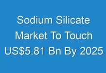 Sodium Silicate Market To Touch US$5.81 Bn By 2025