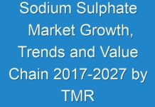 Sodium Sulphate Market Growth, Trends and Value Chain 2017-2027 by TMR