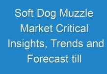 Soft Dog Muzzle Market Critical Insights, Trends and Forecast till 2031