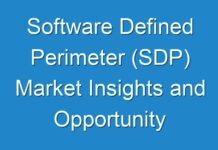 Software Defined Perimeter (SDP) Market Insights and Opportunity Analysis 2025 – Research Report TMR