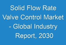 Solid Flow Rate Valve Control Market – Global Industry Report, 2030