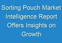 Sorting Pouch Market Intelligence Report Offers Insights on Growth Prospects 2024–2030