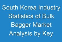 South Korea Industry Statistics of Bulk Bagger Market Analysis by Key Manufacturers, And Various End-Use Industries